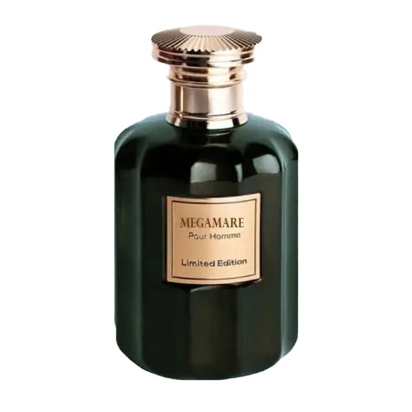 ادوپرفیوم روبرتو ویزاری مدل Megamare حجم 100 میلیلیتر 1 ادوپرفیوم روبرتو ویزاری مدل Megamare حجم 100 میلیلیتر